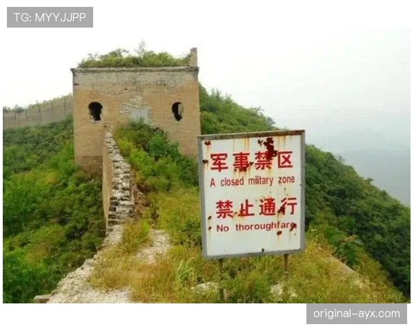 禁区线到底算不算禁区内？规则拆解告诉你判罚关键